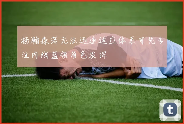 杨瀚森若无法迅速适应体系可先专注内线蓝领角色发挥